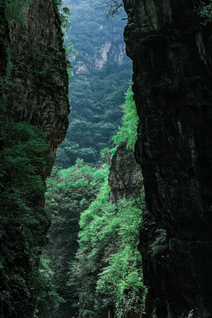 Hiking the magnificent Baili Gorge to discover the top Baoding attractions on your Baoding itinerary.
Baoding travel guide
Things to do in Baoding
Baoding attractions
Baoding itinerary
Western Qing Tombs
Yesanpo