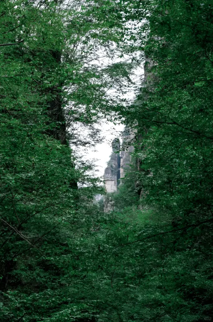 Hiking the magnificent Baili Gorge to discover the top Baoding attractions on your Baoding itinerary.
Baoding travel guide
Things to do in Baoding
Baoding attractions
Baoding itinerary
Western Qing Tombs
Yesanpo