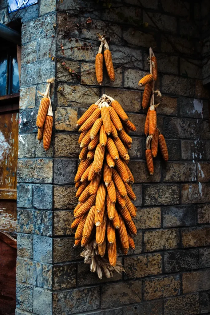 Guizhou itinerary
Guizhou travel guide
China travel
Qingyan Ancient Town