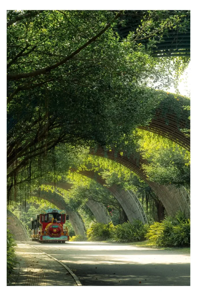 Nanning travel guide
Things to do in Nanning
Nanning attractions
Nanning itinerary
Qingxiu Mountain