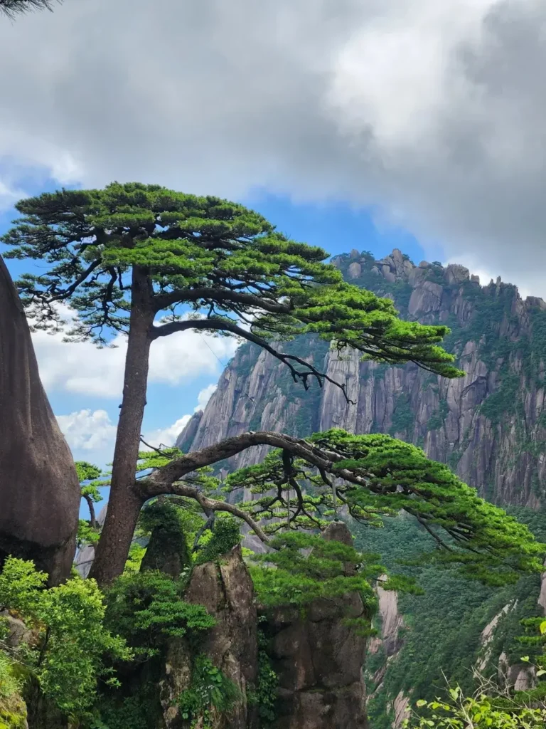 Huangshan Mountain