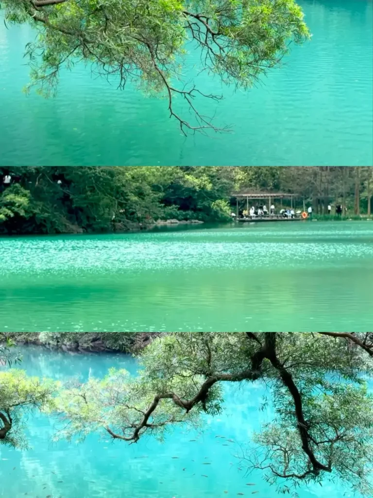 Liuzhou travel guide
Liuzhou itinerary
Longtan Park
top attractions
China travel