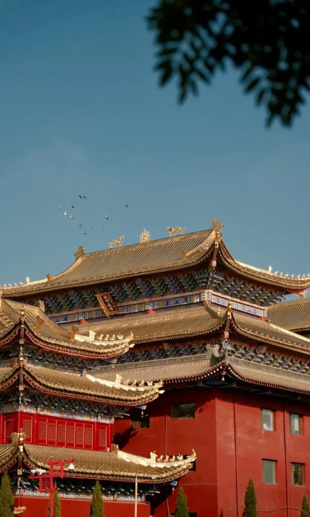 Hohhot Travel Guide: Saihan Tara Urban Grassland, a top spot in Hohhot China