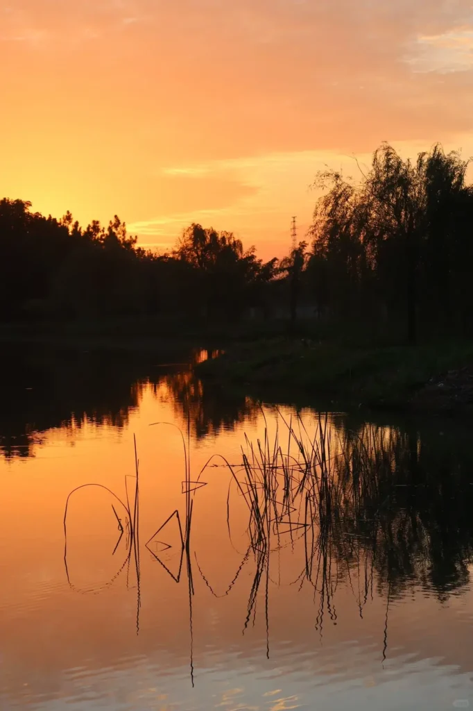 Jiamusi travel guide
Things to do in Jiamusi
Jiamusi itinerary
Heixiazi Island
Dongji Square
Sanjiang Wetlands