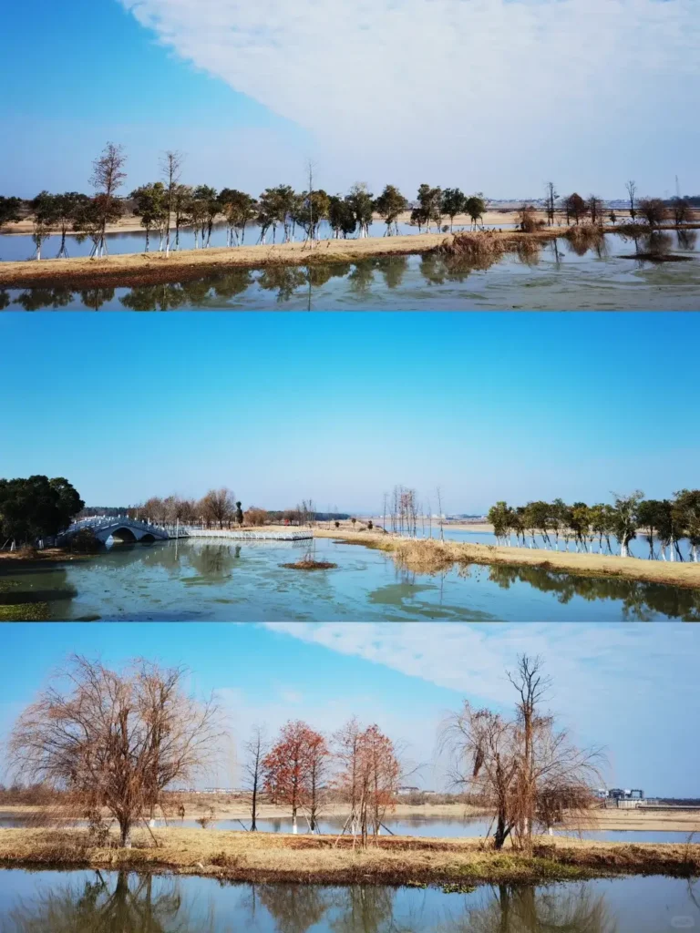 Jiamusi travel guide
Things to do in Jiamusi
Jiamusi itinerary
Heixiazi Island
Dongji Square
Sanjiang Wetlands