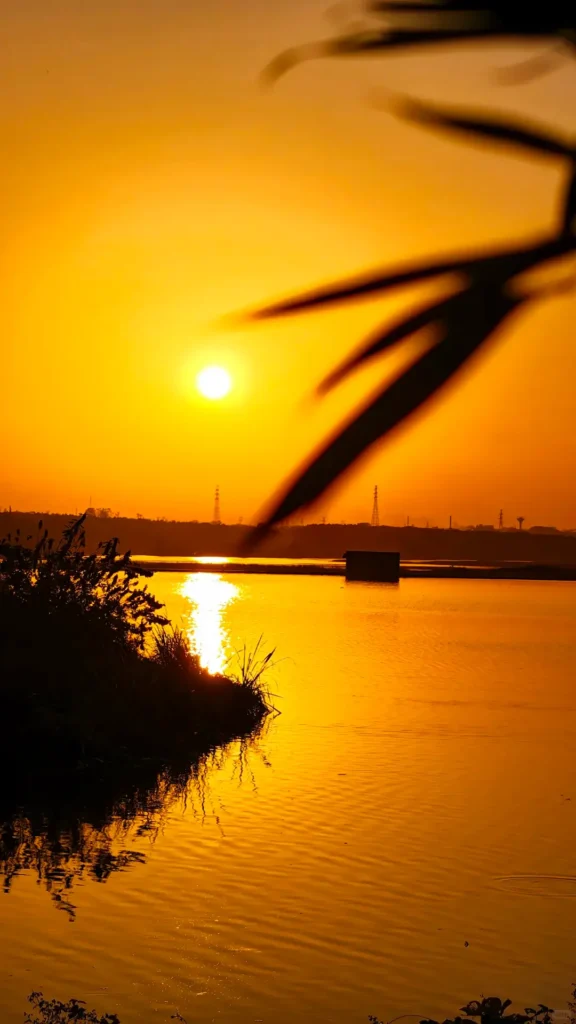 Jiamusi travel guide
Things to do in Jiamusi
Jiamusi itinerary
Heixiazi Island
Dongji Square
Sanjiang Wetlands