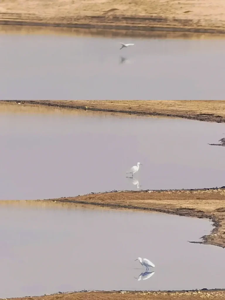 Jiamusi travel guide
Things to do in Jiamusi
Jiamusi itinerary
Heixiazi Island
Dongji Square
Sanjiang Wetlands