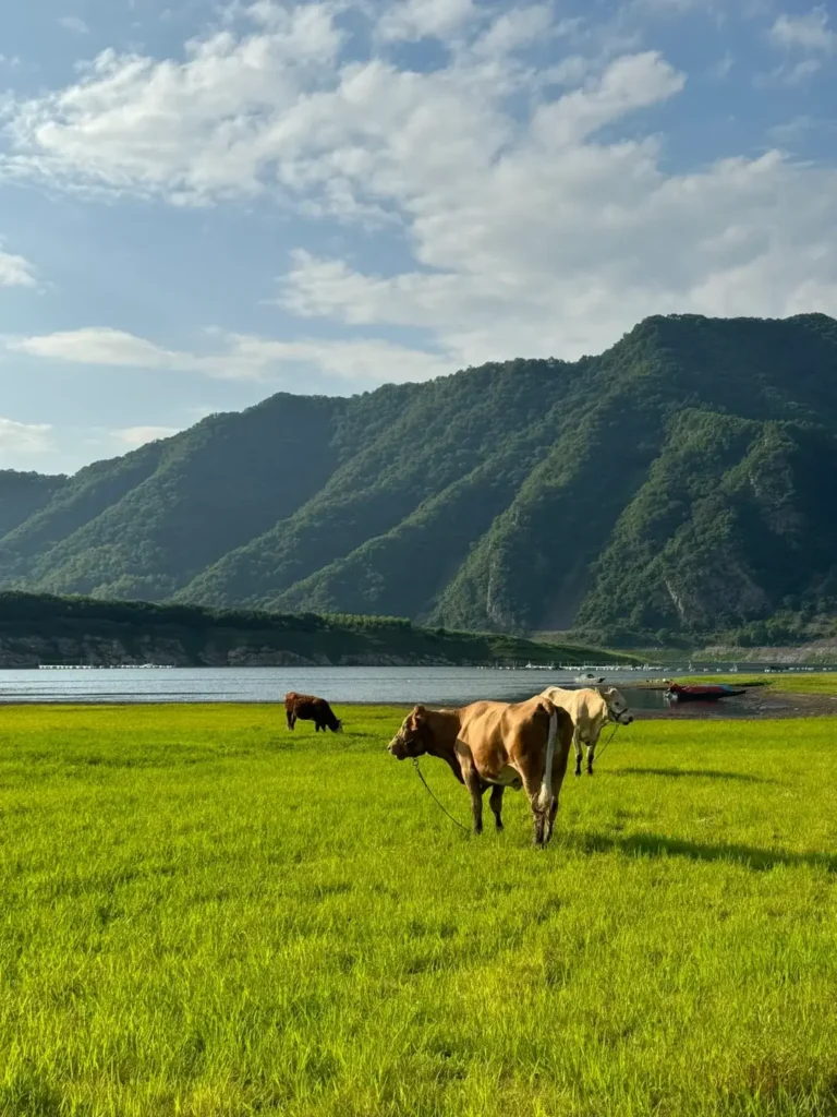 Dandong travel guide
Things to do in Dandong
Dandong attractions
Dandong itinerary
Yalu River
Tiger Mountain Great Wall
North Korea border