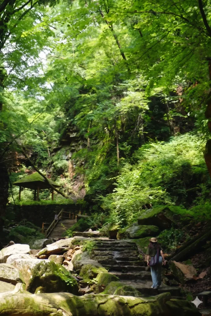 Tonghua travel guide
things to do in Tonghua
Tonghua itinerary
Koguryo tombs Ji'an
UNESCO world heritage China
Tonghua winery
Wunv Peak National Forest Park