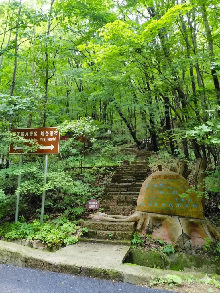 Tonghua travel guide
things to do in Tonghua
Tonghua itinerary
Koguryo tombs Ji'an
UNESCO world heritage China
Tonghua winery
Wunv Peak National Forest Park