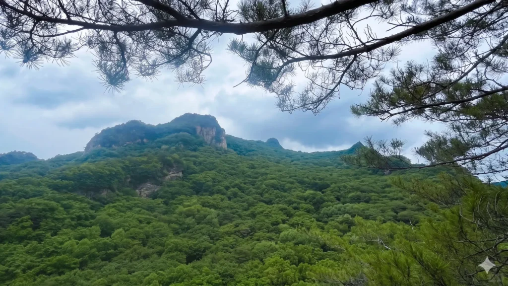 Tonghua travel guide
things to do in Tonghua
Tonghua itinerary
Koguryo tombs Ji'an
UNESCO world heritage China
Tonghua winery
Wunv Peak National Forest Park