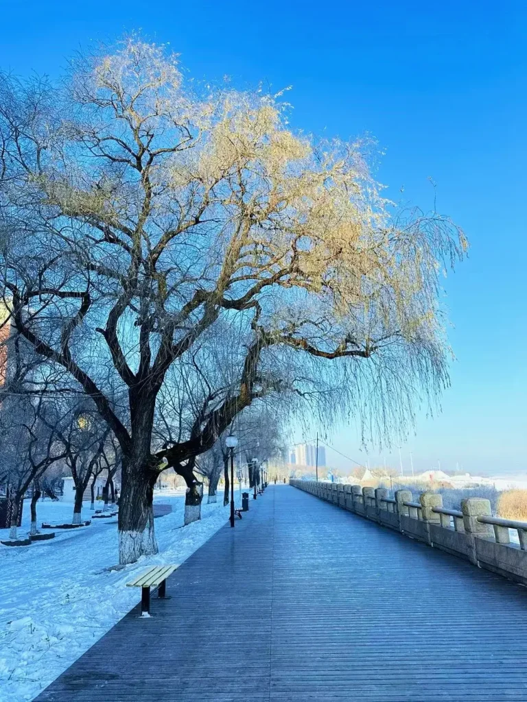 Jiamusi travel guide
Things to do in Jiamusi
Jiamusi itinerary
Heixiazi Island
Dongji Square
Sanjiang Wetlands
