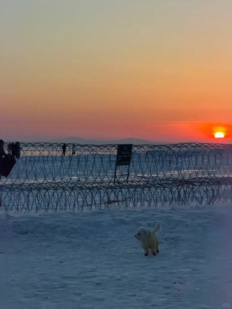 The ocean-like vastness of Xingkai Lake at sunset, providing ultimate inspiration for your Jixi travel guide and border itinerary.
Jixi travel guide
Things to do in Jixi
Jixi itinerary
Xingkai Lake
Hutou Fortress
Jixi Cold Noodles