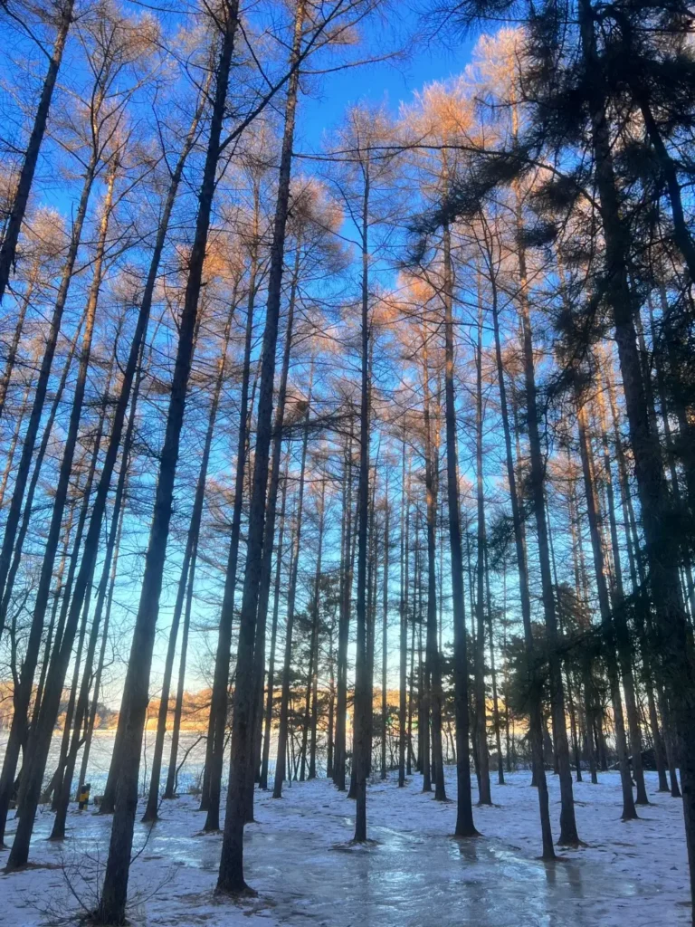 Exploring Jingyuetan is a key part of any Changchun itinerary and a highlight in this expert Changchun travel guide.
Changchun travel guide
things to do in Changchun
Changchun itinerary
Puppet Emperor Palace
Changchun Film Studio
Manchukuo history
Jingyuetan National Forest Park