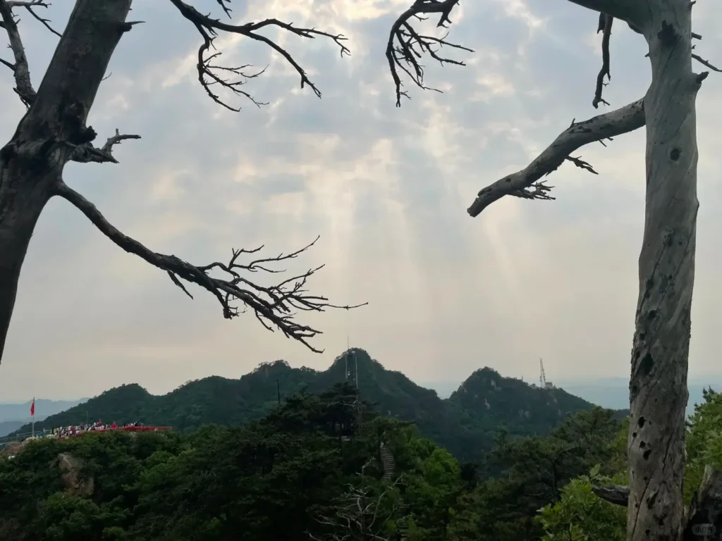Hiking Qianshan National Park is one of the top things to do in Anshan outlined in this Anshan travel guide.
Anshan travel guide
Things to do in Anshan
Anshan attractions
Anshan itinerary
Qianshan National Park
Jade Buddha Palace
Tanggangzi