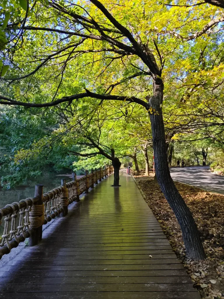 Hiking Qianshan National Park is one of the top things to do in Anshan outlined in this Anshan travel guide.
Anshan travel guide
Things to do in Anshan
Anshan attractions
Anshan itinerary
Qianshan National Park
Jade Buddha Palace
Tanggangzi