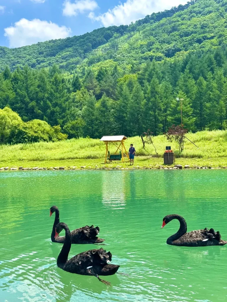 Benxi travel guide
Things to do in Benxi
Benxi attractions
Benxi itinerary
Benxi Water Caves
Guanmenshan
Maple leaves