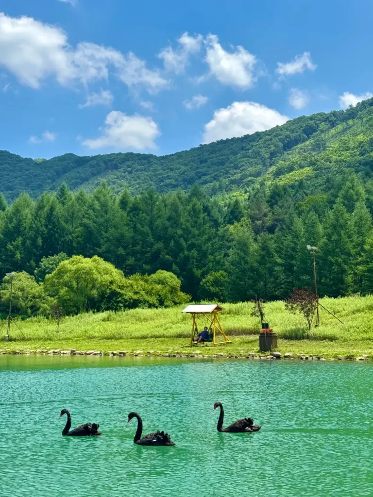 Benxi travel guide
Things to do in Benxi
Benxi attractions
Benxi itinerary
Benxi Water Caves
Guanmenshan
Maple leaves