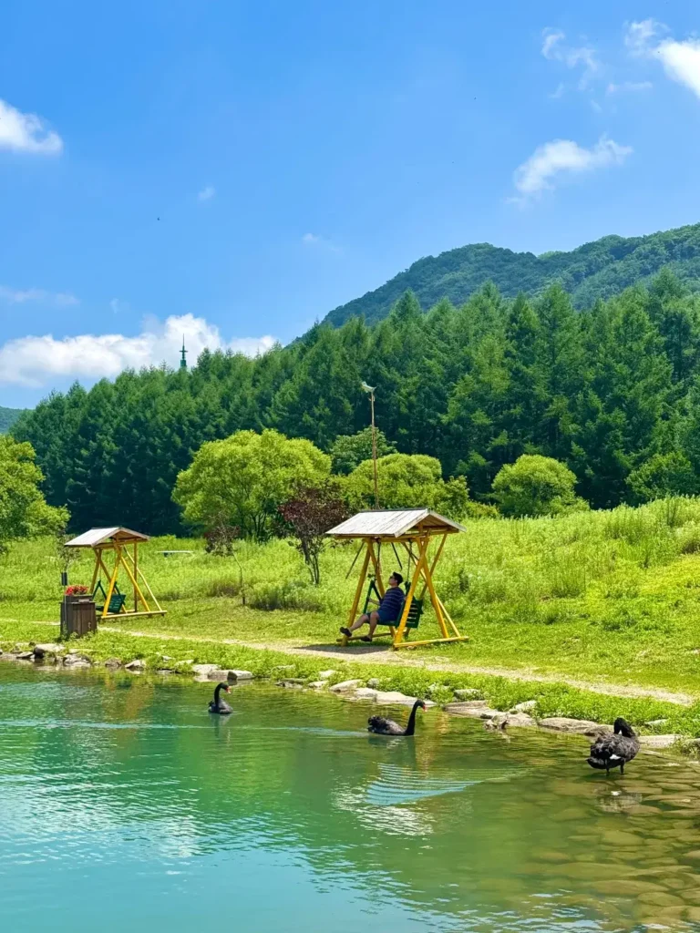 Benxi travel guide
Things to do in Benxi
Benxi attractions
Benxi itinerary
Benxi Water Caves
Guanmenshan
Maple leaves
