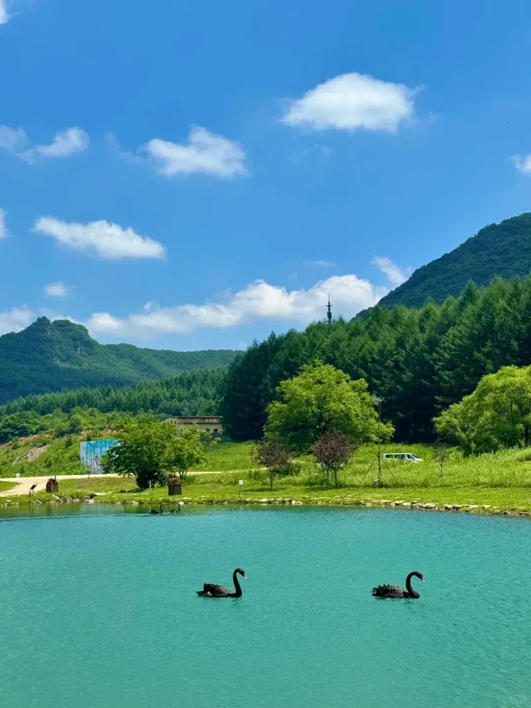 Benxi travel guide
Things to do in Benxi
Benxi attractions
Benxi itinerary
Benxi Water Caves
Guanmenshan
Maple leaves