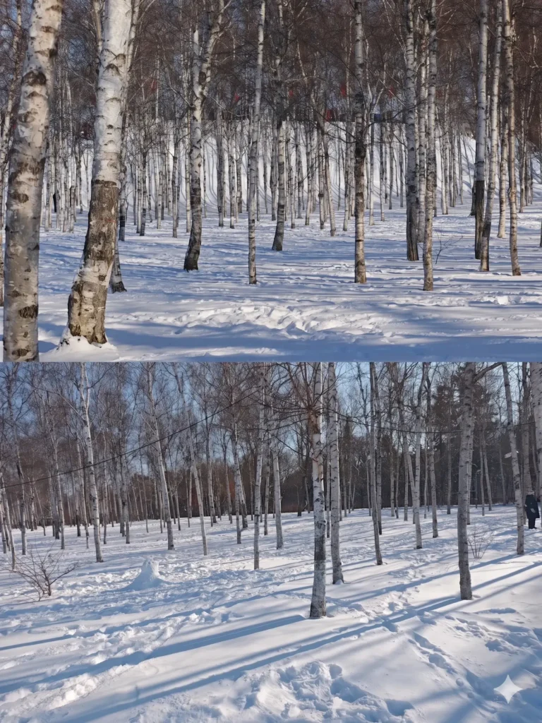 Changchun travel guide
things to do in Changchun
Changchun itinerary
Puppet Emperor Palace
Changchun Film Studio
Manchukuo history
Jingyuetan National Forest Park