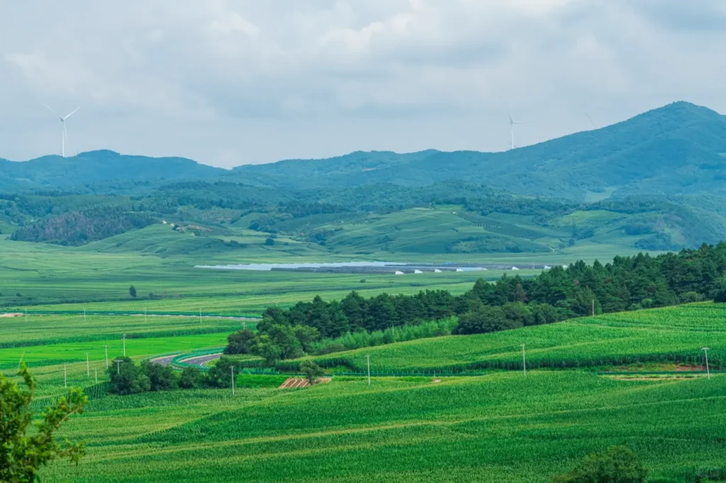 Explore the ancient tribal roots during your Siping itinerary.
Siping travel guide
Things to do in Siping
Siping attractions
Siping itinerary
Siping Battle Memorial Hall
Yehe Ancient City
Shanmen Volcanic Geopark