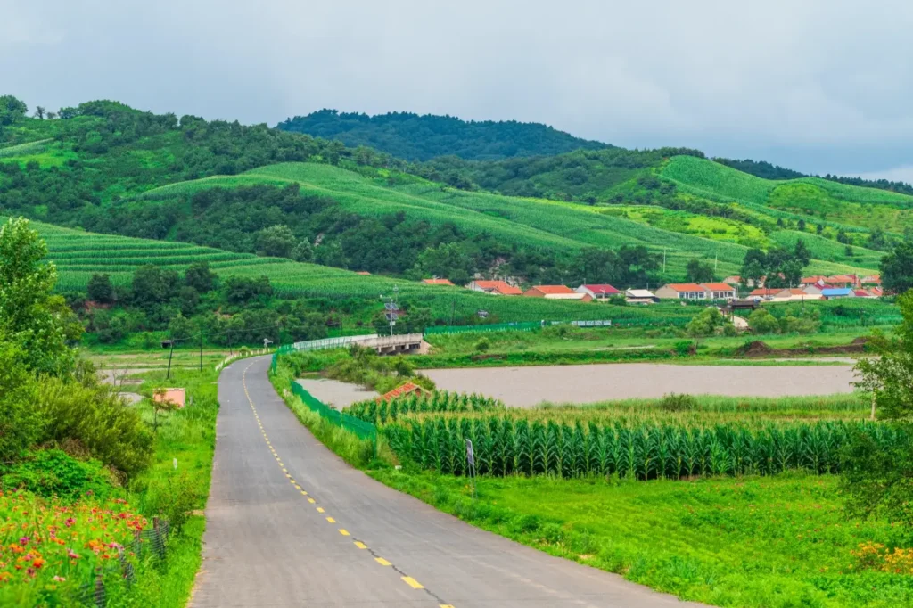 Explore the ancient tribal roots during your Siping itinerary.
Siping travel guide
Things to do in Siping
Siping attractions
Siping itinerary
Siping Battle Memorial Hall
Yehe Ancient City
Shanmen Volcanic Geopark