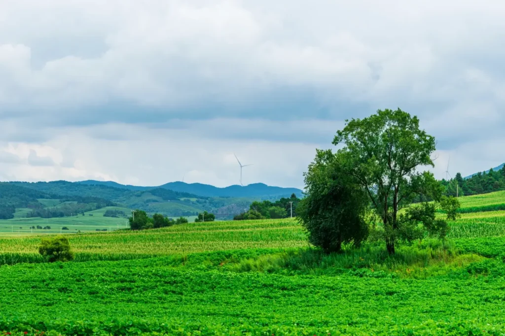 Explore the ancient tribal roots during your Siping itinerary.
Siping travel guide
Things to do in Siping
Siping attractions
Siping itinerary
Siping Battle Memorial Hall
Yehe Ancient City
Shanmen Volcanic Geopark