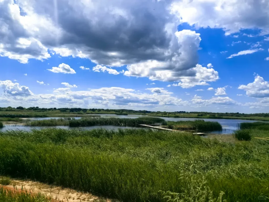 Explore the vast, untouched ecosystems during your Baicheng itinerary.
Baicheng travel guide
Things to do in Baicheng
Baicheng attractions
Baicheng itinerary
Momoge National Nature Reserve
Xianghai
Siberian Cranes
Chengsijiazi Ancient City