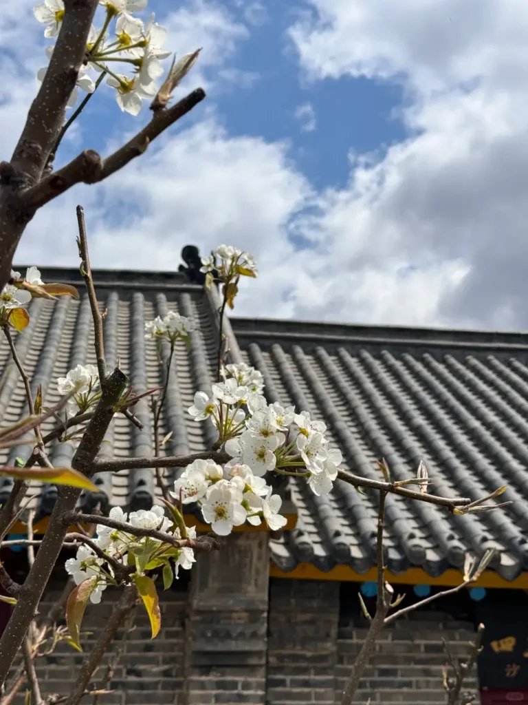Siping travel guide
Things to do in Siping
Siping attractions
Siping itinerary
Siping Battle Memorial Hall
Yehe Ancient City
Shanmen Volcanic Geopark