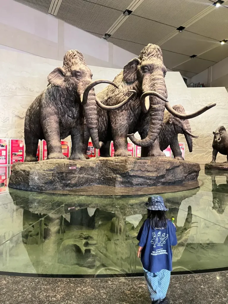 Daqing travel guide
Things to do in Daqing
Daqing itinerary
Iron Man Memorial
Lindian Hot Springs
Daqing Wetlands