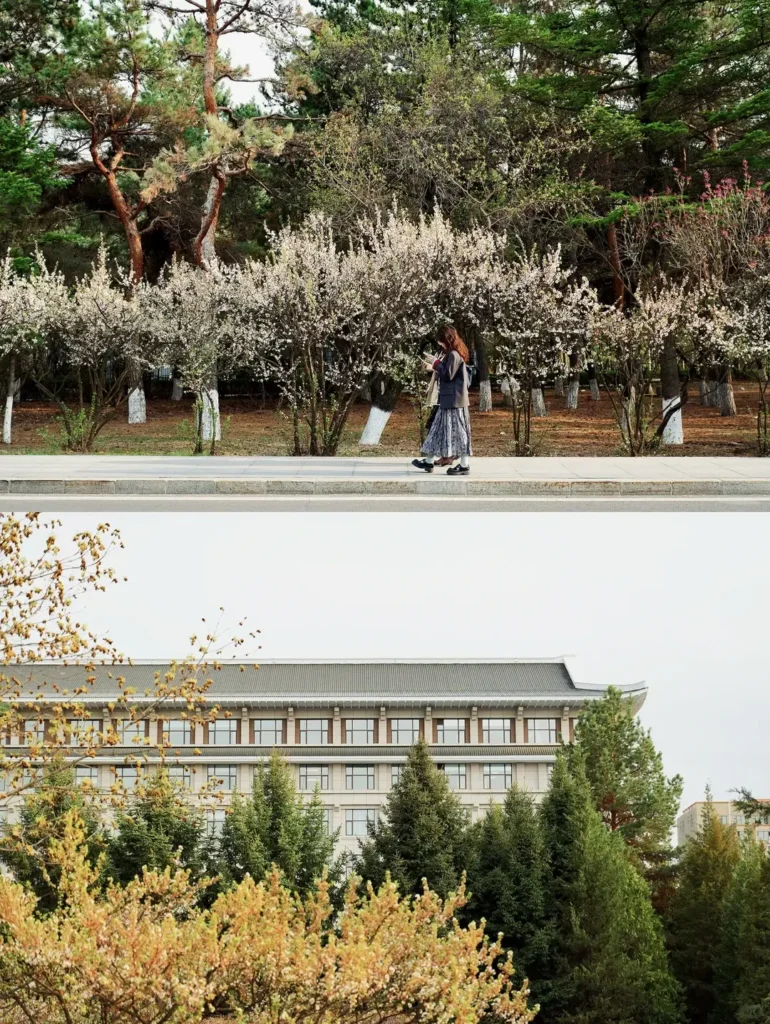 Jilin travel guide
Things to do in Jilin
Jilin attractions
Jilin itinerary
Changbai Mountain
Changchun
Yanbian University