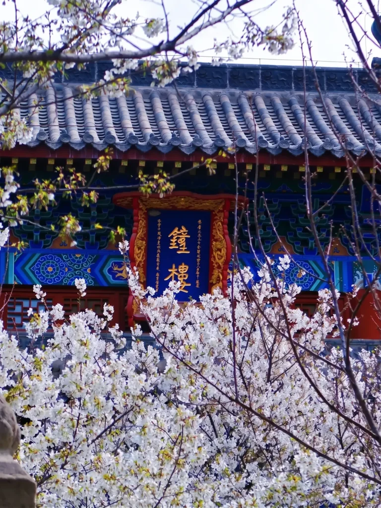 Xingtai travel guide
Things to do in Xingtai
Xingtai attractions
Xingtai itinerary
Xingtai Grand Canyon
Tianhe Mountain