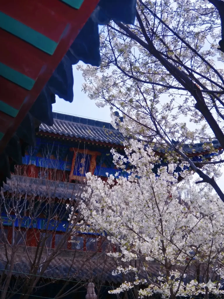 Xingtai travel guide
Things to do in Xingtai
Xingtai attractions
Xingtai itinerary
Xingtai Grand Canyon
Tianhe Mountain