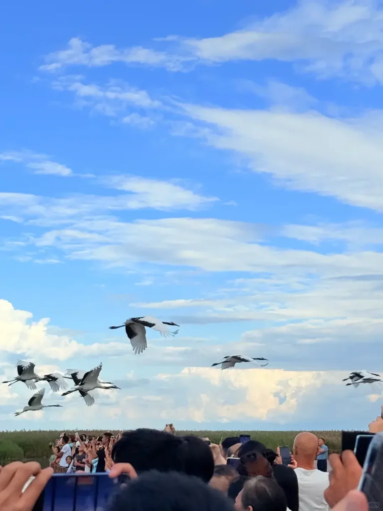 Heilongjiang travel guide
things to do in Heilongjiang
Heilongjiang itinerary
Harbin Ice and Snow World
Wudalianchi geopark
Sino-Russian border
Mohe Arctic Village
Zhalong Nature Reserve