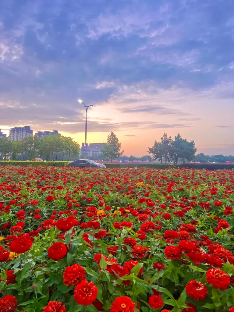 Songyuan travel guide
Things to do in Songyuan
Songyuan attractions
Songyuan itinerary
Chagan Lake
Winter Fishing
Qianguo Grassland
Longhua Temple
Fuyu Kingdom Ruins