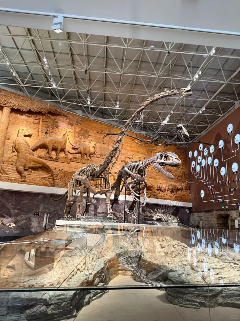 Exploring ancient fossils is a key part of any Chaoyang itinerary and a highlight in this expert Chaoyang travel guide.
Chaoyang travel guide
Things to do in Chaoyang
Chaoyang attractions
Chaoyang itinerary
Chaoyang fossils
Niuheliang
Jehol Biota