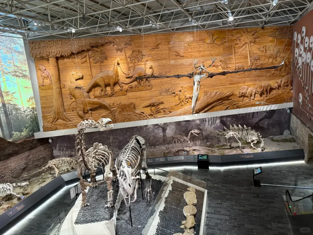 Exploring ancient fossils is a key part of any Chaoyang itinerary and a highlight in this expert Chaoyang travel guide.
Chaoyang travel guide
Things to do in Chaoyang
Chaoyang attractions
Chaoyang itinerary
Chaoyang fossils
Niuheliang
Jehol Biota