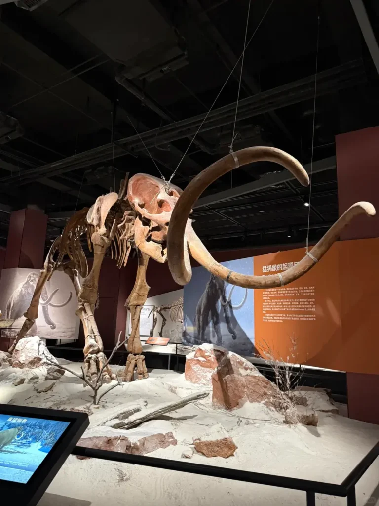 Exploring ancient fossils is a key part of any Chaoyang itinerary and a highlight in this expert Chaoyang travel guide.
Chaoyang travel guide
Things to do in Chaoyang
Chaoyang attractions
Chaoyang itinerary
Chaoyang fossils
Niuheliang
Jehol Biota