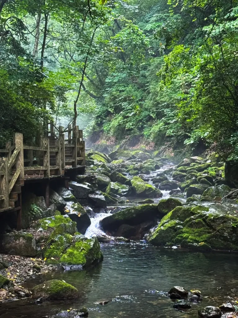 Benxi travel guide
Things to do in Benxi
Benxi attractions
Benxi itinerary
Benxi Water Caves
Guanmenshan
Maple leaves