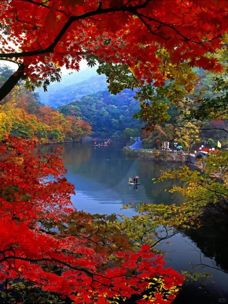 Visiting Guanmenshan is one of the top things to do in Benxi outlined in this Benxi travel guide.
Benxi travel guide
Things to do in Benxi
Benxi attractions
Benxi itinerary
Benxi Water Caves
Guanmenshan
Maple leaves