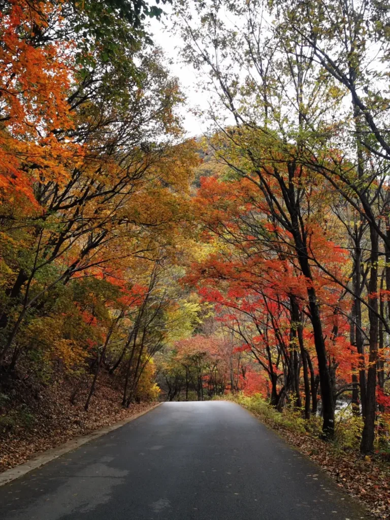 Visiting Guanmenshan is one of the top things to do in Benxi outlined in this Benxi travel guide.
Benxi travel guide
Things to do in Benxi
Benxi attractions
Benxi itinerary
Benxi Water Caves
Guanmenshan
Maple leaves