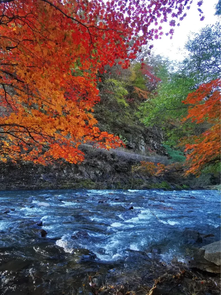 Visiting Guanmenshan is one of the top things to do in Benxi outlined in this Benxi travel guide.
Benxi travel guide
Things to do in Benxi
Benxi attractions
Benxi itinerary
Benxi Water Caves
Guanmenshan
Maple leaves