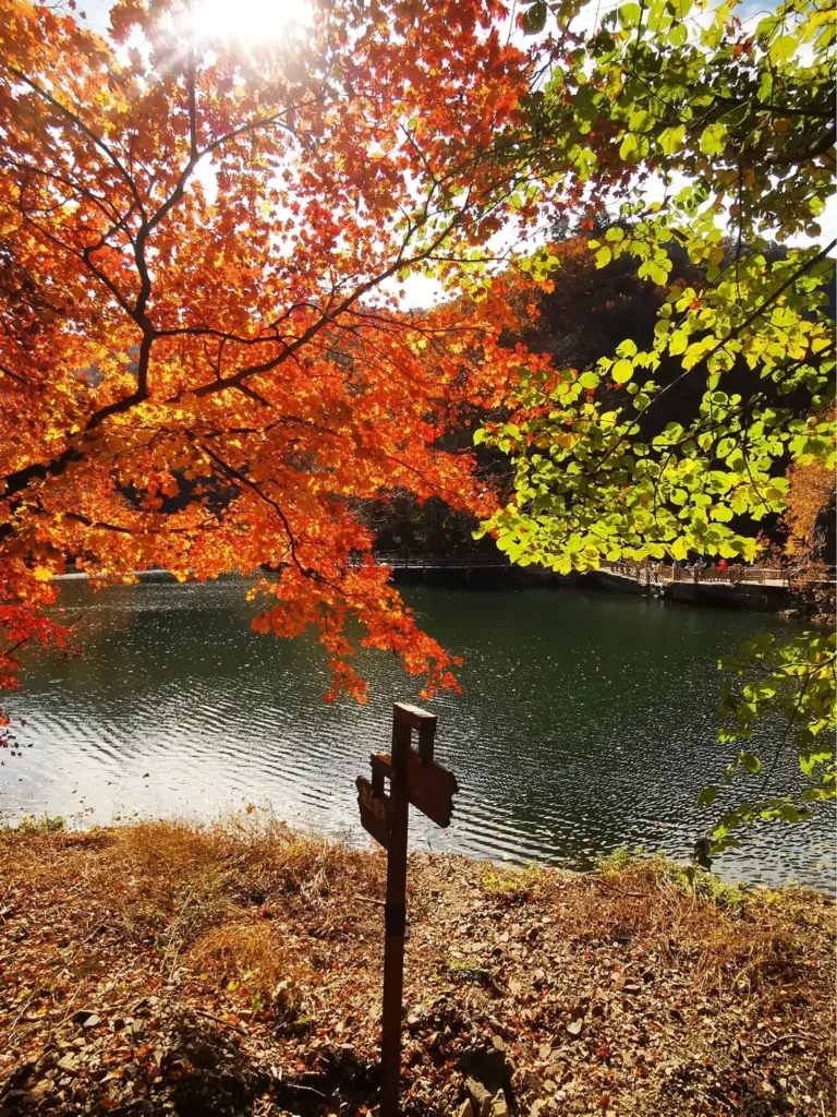Visiting Guanmenshan is one of the top things to do in Benxi outlined in this Benxi travel guide.
Benxi travel guide
Things to do in Benxi
Benxi attractions
Benxi itinerary
Benxi Water Caves
Guanmenshan
Maple leaves