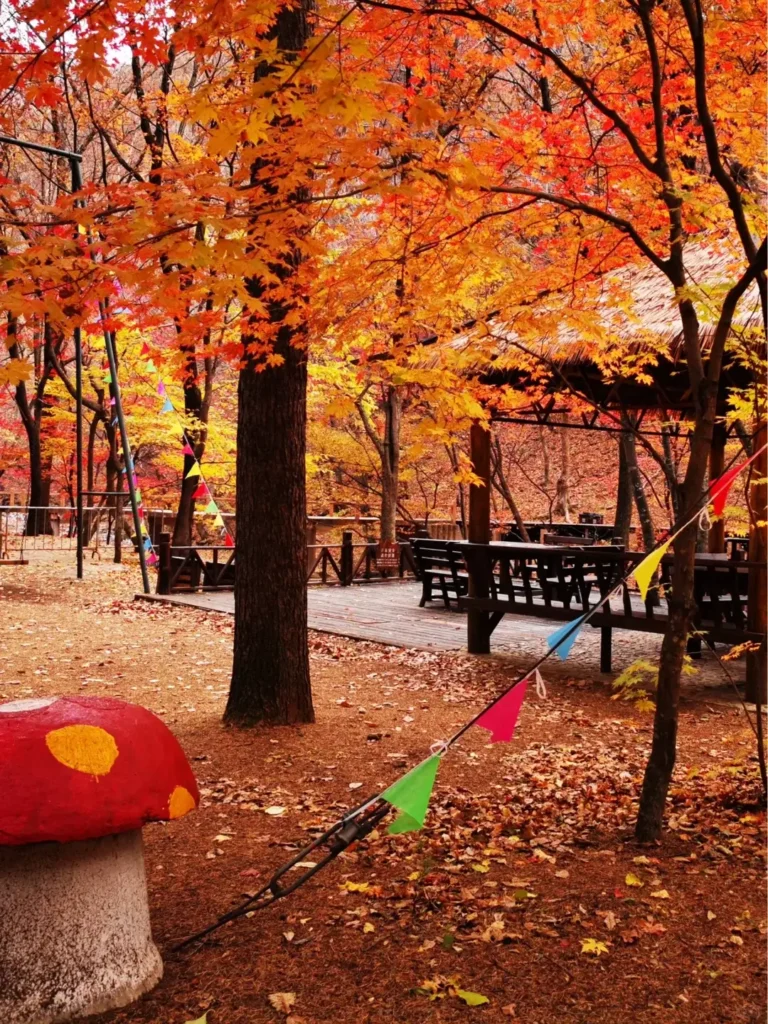 Visiting Guanmenshan is one of the top things to do in Benxi outlined in this Benxi travel guide.
Benxi travel guide
Things to do in Benxi
Benxi attractions
Benxi itinerary
Benxi Water Caves
Guanmenshan
Maple leaves