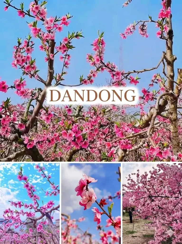 Dandong travel guide
Things to do in Dandong
Dandong attractions
Dandong itinerary
Yalu River
Tiger Mountain Great Wall
North Korea border