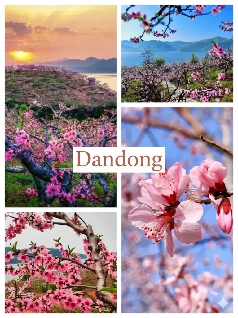 Dandong travel guide
Things to do in Dandong
Dandong attractions
Dandong itinerary
Yalu River
Tiger Mountain Great Wall
North Korea border
