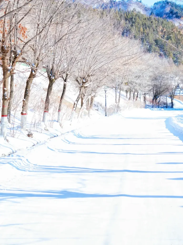 Mudanjiang travel guide
Things to do in Mudanjiang
Mudanjiang itinerary
Jingpo Lake
China Snow Town
Siberian Tiger Park