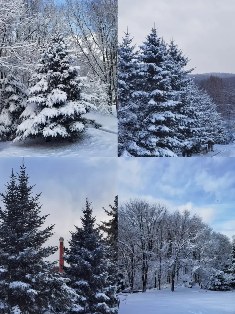 Mudanjiang travel guide
Things to do in Mudanjiang
Mudanjiang itinerary
Jingpo Lake
China Snow Town
Siberian Tiger Park