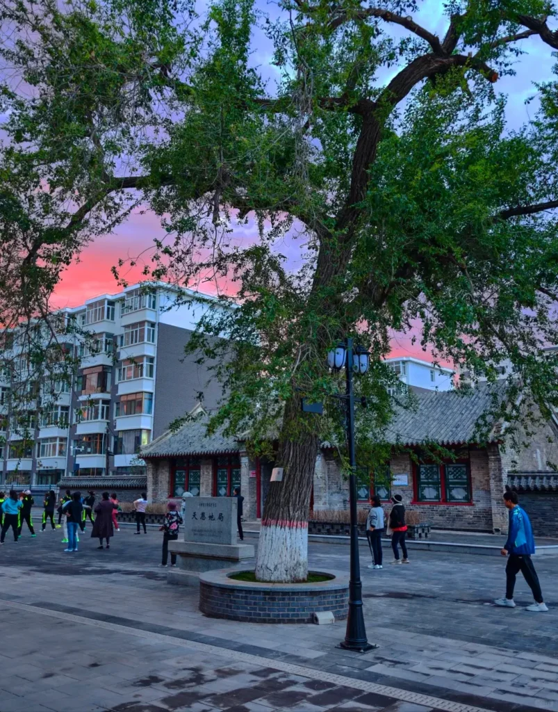 Wander the vibrant local markets to add cultural color to your Baicheng travel guide experience.
Baicheng travel guide
Things to do in Baicheng
Baicheng attractions
Baicheng itinerary
Momoge National Nature Reserve
Xianghai
Siberian Cranes
Chengsijiazi Ancient City
